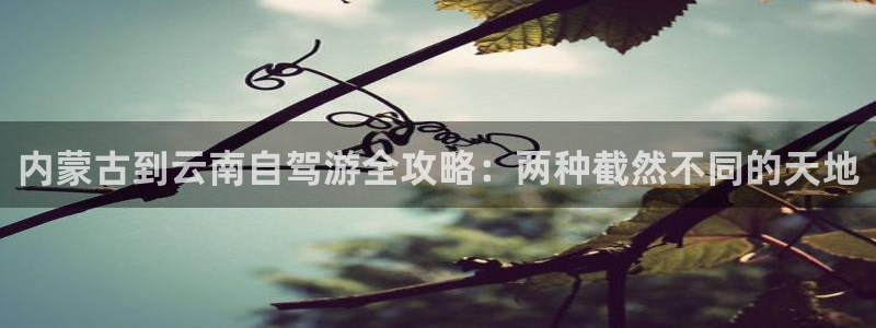 云顶集团最新官方网站