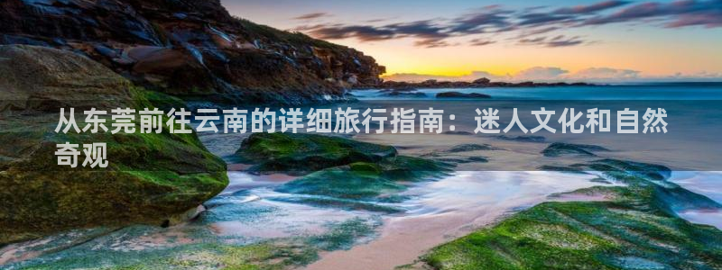 云顶国际集团游戏app