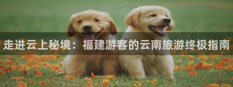 云顶集团官网登录入口下载